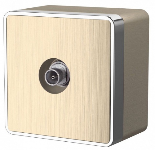 ТВ-розетка оконечная без рамки Werkel Gallant (шампань рифленый) W5083010 в Нижнем Новгороде