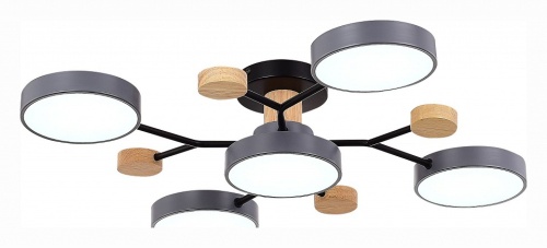 Потолочная люстра EVOLUCE Faema SLE6006-702-05 в Нижнем Новгороде фото 2