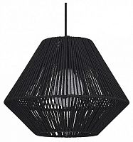 Подвесной светильник EVOLUCE ETTAN SLE6025-403-01 в Нижнем Новгороде