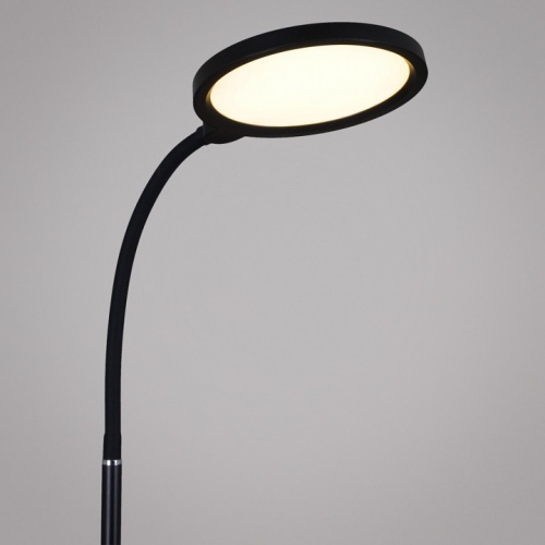 Торшер 00071-0.7-01 BK в Нижнем Новгороде фото 4