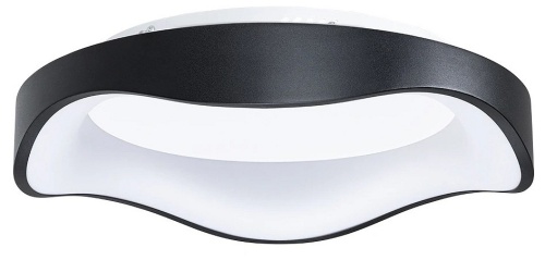 Накладной светильник Arte Lamp ANKAA A3085PL-48BK в Нижнем Новгороде