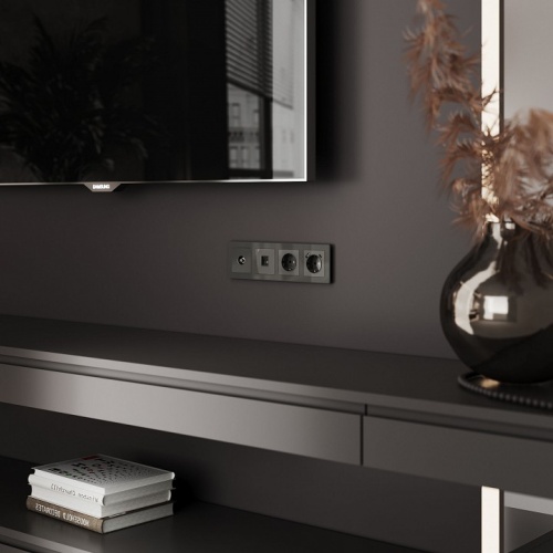 ТВ-розетка без рамки Werkel графит акрил W1183044 в Нижнем Новгороде фото 2