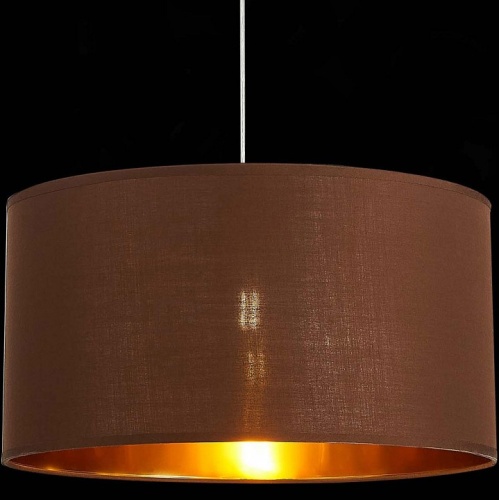 Подвесной светильник EVOLUCE Brescia SLE300573-01 в Нижнем Новгороде фото 6