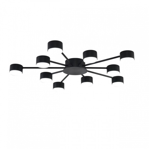 Потолочная люстра Lumion TORINA 8344/10C в Нижнем Новгороде фото 3