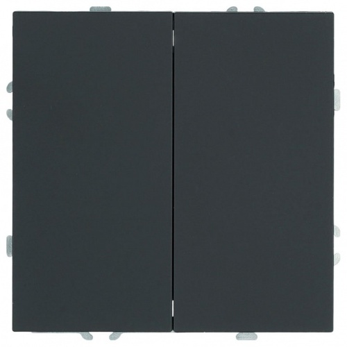 Переключатель двухклавишный без рамки Stekker Эмили 50249 в Нижнем Новгороде