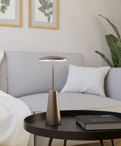 Настольная лампа декоративная Eglo PICCOLA 900924 в Нижнем Новгороде фото 6