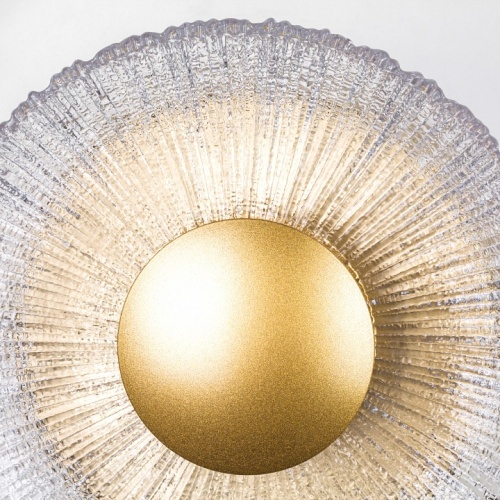 Накладной светильник Lightstar Erica 609602 в Нижнем Новгороде фото 3