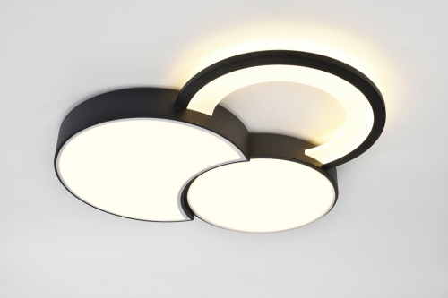 Потолочная люстра Rivoli Aliona Б0066452 в Нижнем Новгороде фото 8