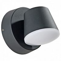 Светильник на штанге Arte Lamp Chico A2212AL-1BK в Нижнем Новгороде