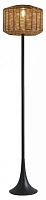 Торшер Favourite Assolato 4833-1F в Нижнем Новгороде