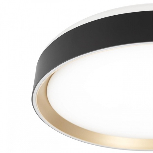 Накладной светильник Citilux BOSS CL751351G в Нижнем Новгороде фото 10