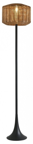 Торшер Favourite Assolato 4833-1F в Нижнем Новгороде