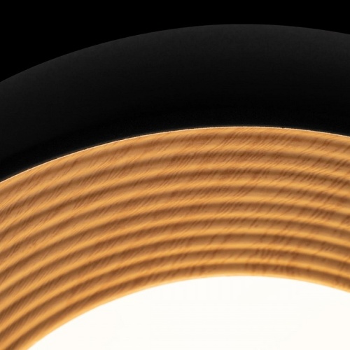 Накладной светильник Loft it Folk 10255/350 Black в Нижнем Новгороде фото 2