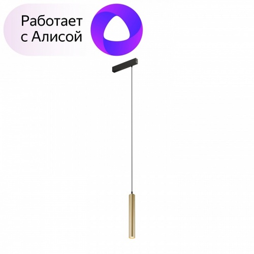 Подвесной светильник Denkirs Smart DK8008-BG в Нижнем Новгороде фото 7