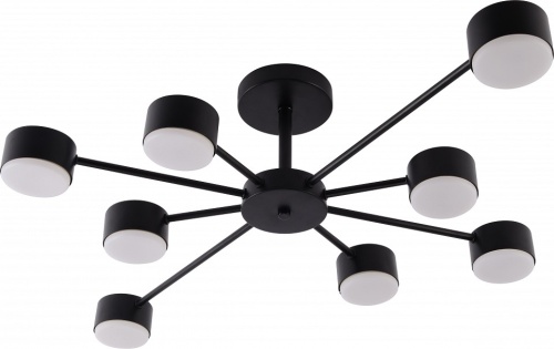 Потолочная люстра Rivoli Lesley 3185-308 в Нижнем Новгороде фото 3