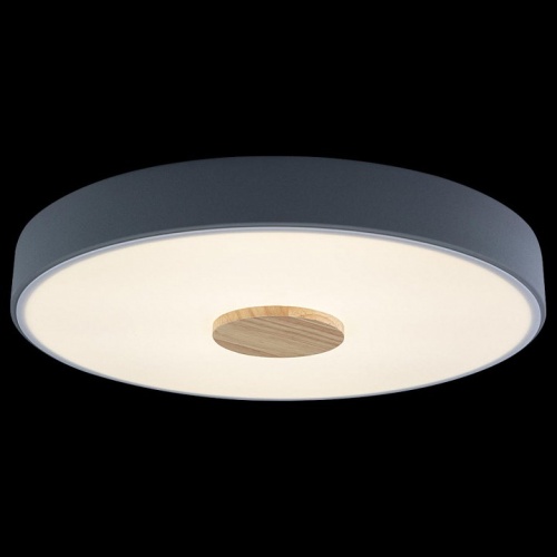 Накладной светильник Loft it Axel 2 10003/24 Grey в Нижнем Новгороде фото 3