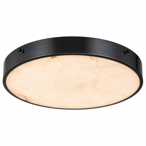 Накладной светильник Belfast Devon 3395-4 BL MB в Нижнем Новгороде фото 8