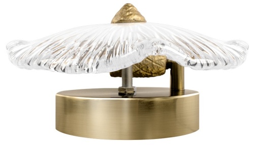 Накладной светильник Loft it Bloom 10352W/A AB в Нижнем Новгороде фото 2