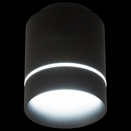 Накладной светильник Citilux Борн CL745011N в Сургуте фото 2