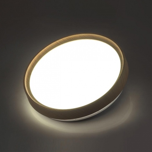 Накладной светильник Sonex Woodi 7603/DL в Белоярском фото 6