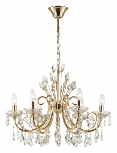 Подвесная люстра Odeon Light Versia 4977/6 в Нижнем Новгороде фото 5