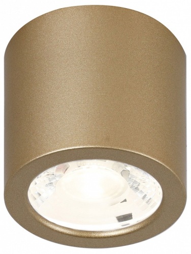 Накладной светильник Favourite Deorsum 2807-1C в Звенигороде фото 2