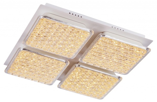 Накладной светильник Escada Frost 10204/4LED в Ревде фото 5