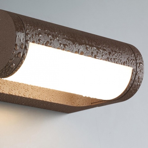 Накладной светильник Odeon Light NATURE 7118/12WL в Нижнем Новгороде фото 2