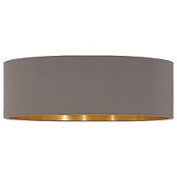 Плафон текстильный Eglo Pasteri Pro 68324 в Нижнем Новгороде