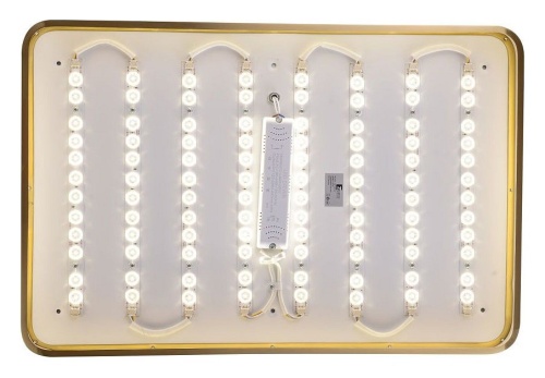 Накладной светильник Zortes Monna ZRS.1209.09 в Нижнем Новгороде фото 11