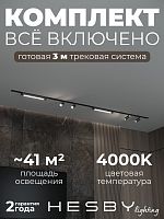 Комплект трековый Hesby Lighting Skylite №5 HSBL_kompl_S005_VI3B4K в Нижнем Новгороде