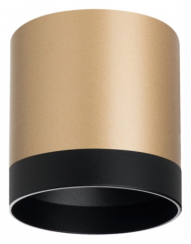 Накладной светильник Lightstar Rullo R34903487 в Нижнем Новгороде