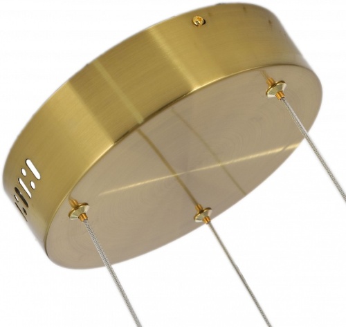 Подвесной светильник Zortes Lidia ZRS.30111.114 в Нижнем Новгороде фото 3