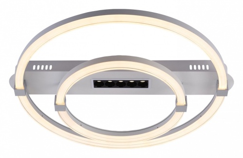 Накладной светильник Escada Aspect 10253/2LED в Нижнем Новгороде фото 2