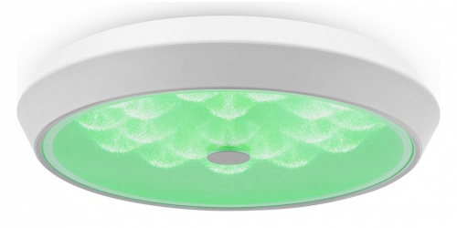 Накладной светильник Freya Cells FR10012CL-L24W в Нижнем Новгороде фото 12