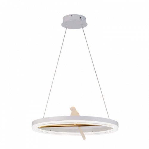 Подвесной светильник F-promo Bardy 4653-1P в Нижнем Новгороде фото 5