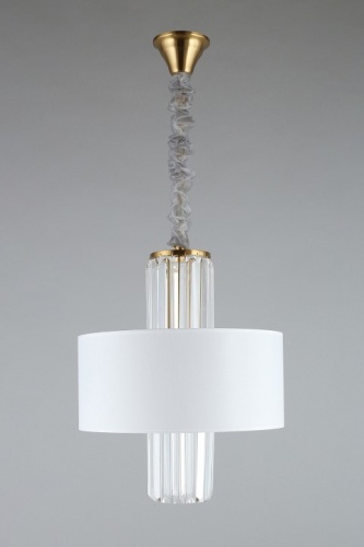 Подвесной светильник Aployt Karola APL.841.13.04 в Нижнем Новгороде фото 10