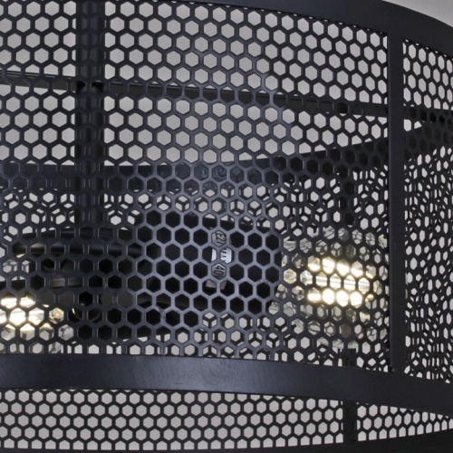 Светильник на штанге ILLUMICO  IL1031-3C-05 BK в Нижнем Новгороде фото 2