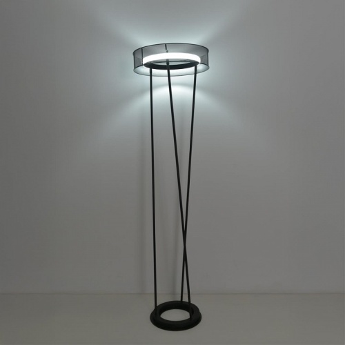 Торшер Lumion LEDIO 8370/30FL в Нижнем Новгороде фото 4