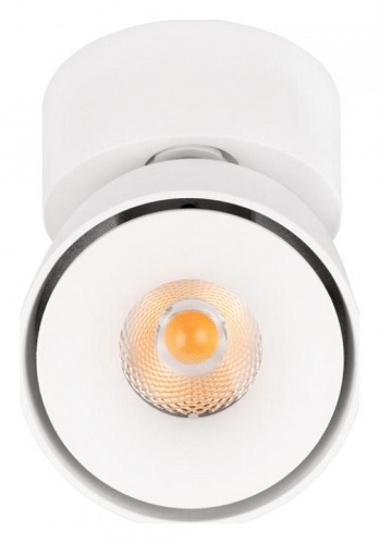 Спот Loft it Focus 10323/A White в Нижнем Новгороде фото 6