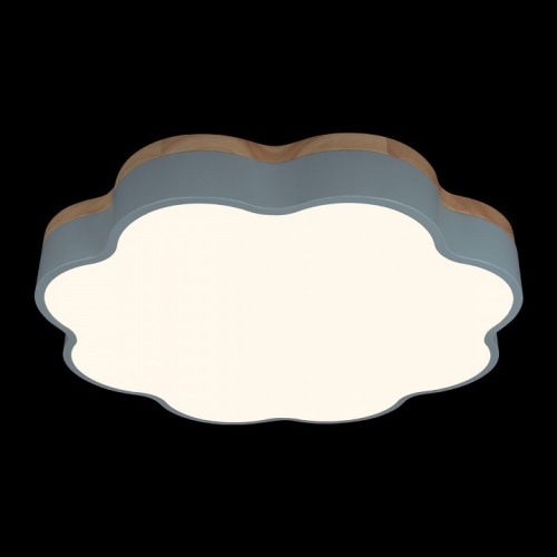 Накладной светильник Loft it Axel 10225/36 Blue в Нижнем Новгороде фото 5