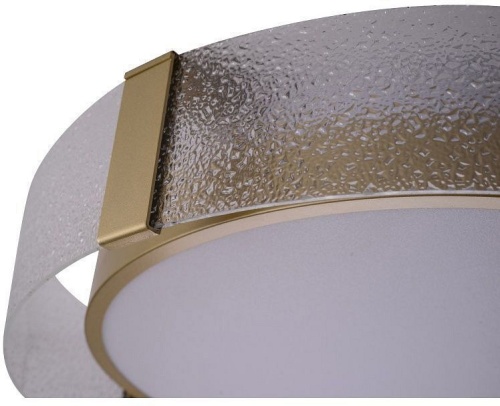 Накладной светильник Zortes Gerda ZRS.1097.60 в Нижнем Новгороде фото 7