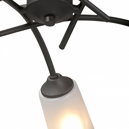 Люстра на штанге Vitaluce V2850 V2850-1/5PL в Нижнем Новгороде фото 5