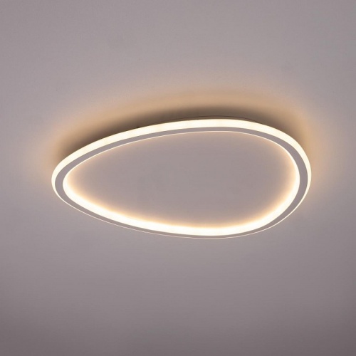 Накладной светильник Citilux ТRIO CL215B250E в Нижнем Новгороде фото 12