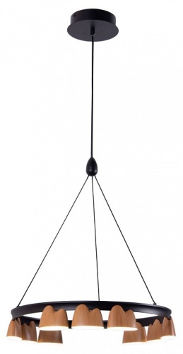 Подвесная люстра Favourite Interline 4266-9P в Нижнем Новгороде фото 2