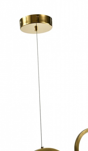 Подвесной светильник Zortes Osty ZRS.1209.04 в Нижнем Новгороде фото 2