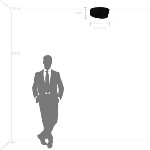 Накладной светильник Lightstar Celesta 809356 в Нижнем Новгороде фото 7