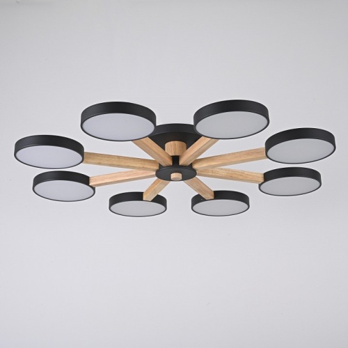 Люстра на штанге Imperiumloft TURNA Black TURNA01 в Нижнем Новгороде фото 6