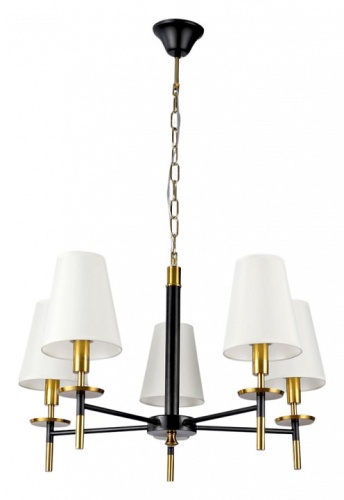 Подвесная люстра Arte Lamp Riccardo A4075LM-5BK в Саратове фото 2