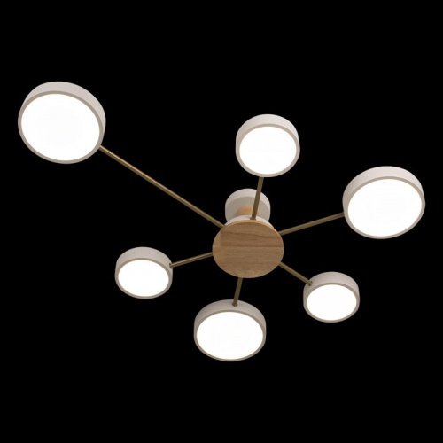 Потолочная люстра Loft it Sunrise 10316/6 White в Нижнем Новгороде фото 4